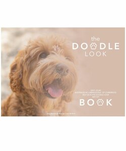 The Doodle Look boek