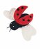 ecoZippy Ladybug